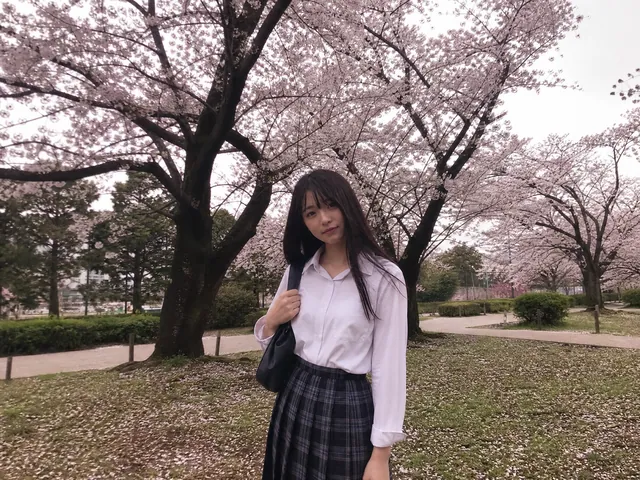 樱花树下18号，今日人像赛道的稳参赛作品封面